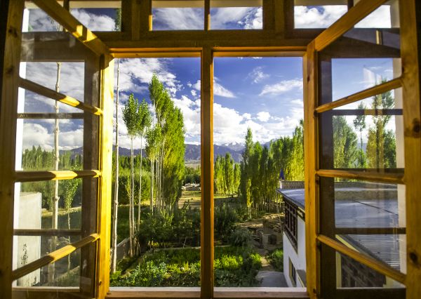 Cost of Wood Window Replacement in Plano